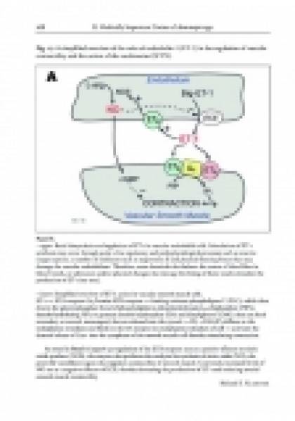 Preview: The African and Middle Eastern Burrowing Asps